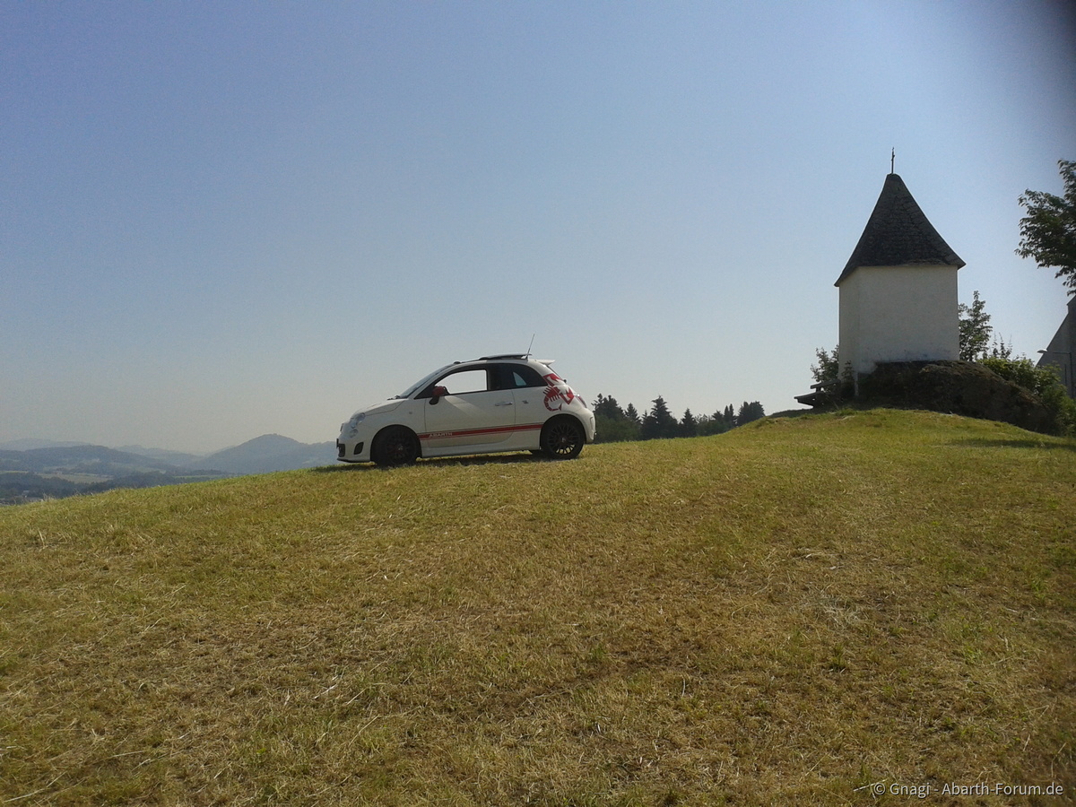 Gnagi`s 500