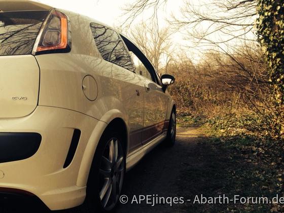 Punto EVO