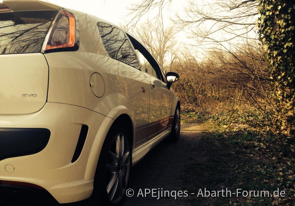 Punto EVO