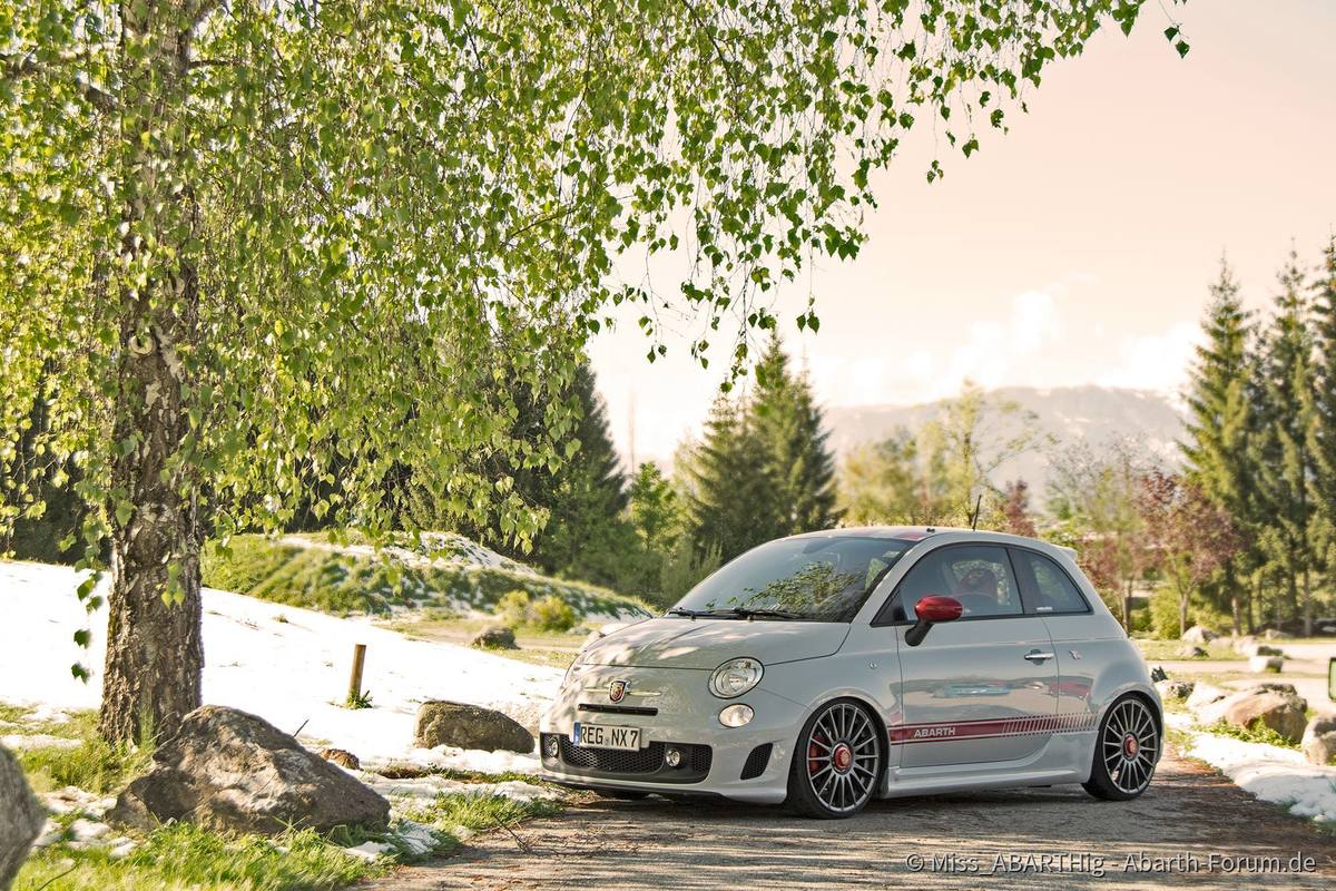 13131160_688254337988305_2727203032516847070_o