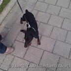 ACM_Juli_Stammtisch_2012