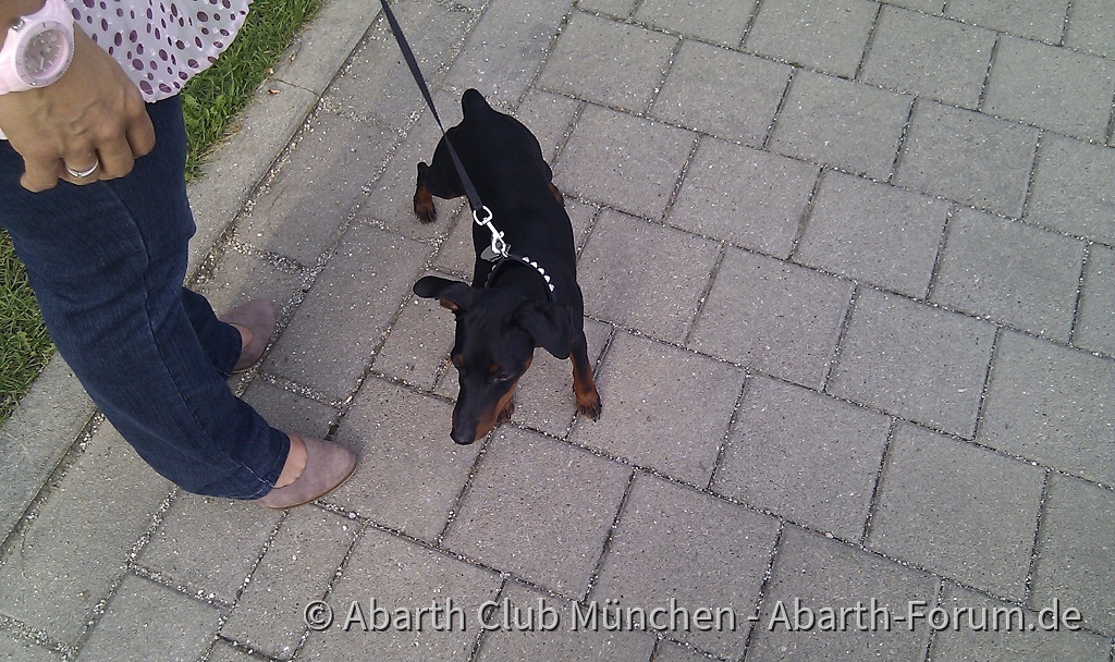 ACM_Juli_Stammtisch_2012