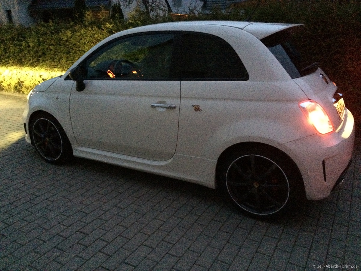 Meiner