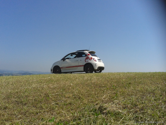 Gnagi`s 500