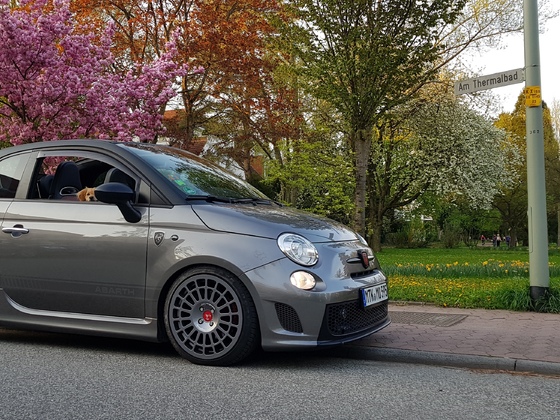 Frühling oder doch schon Sommer?
