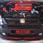 Hektor