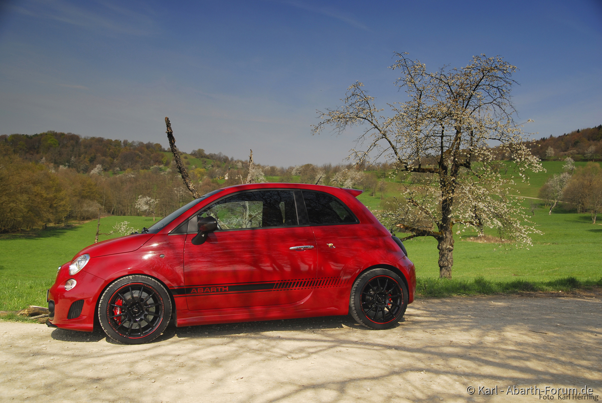 _DSC1640 s Kopie Kopie 1