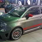 Abby bei der Auslieferung