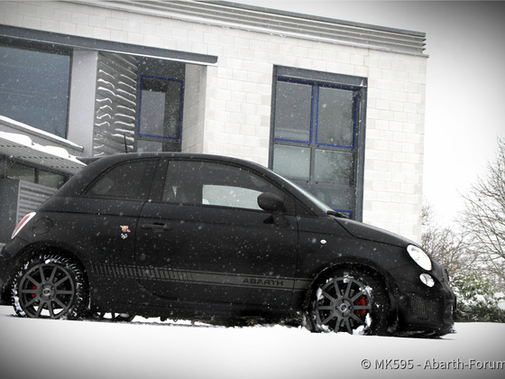 Winter wonderland