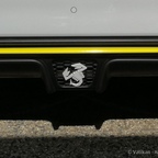 3 D Skorpion in grigio campovolo