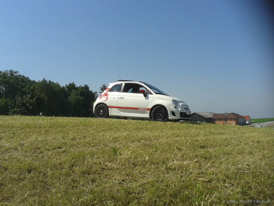 Gnagi`s 500