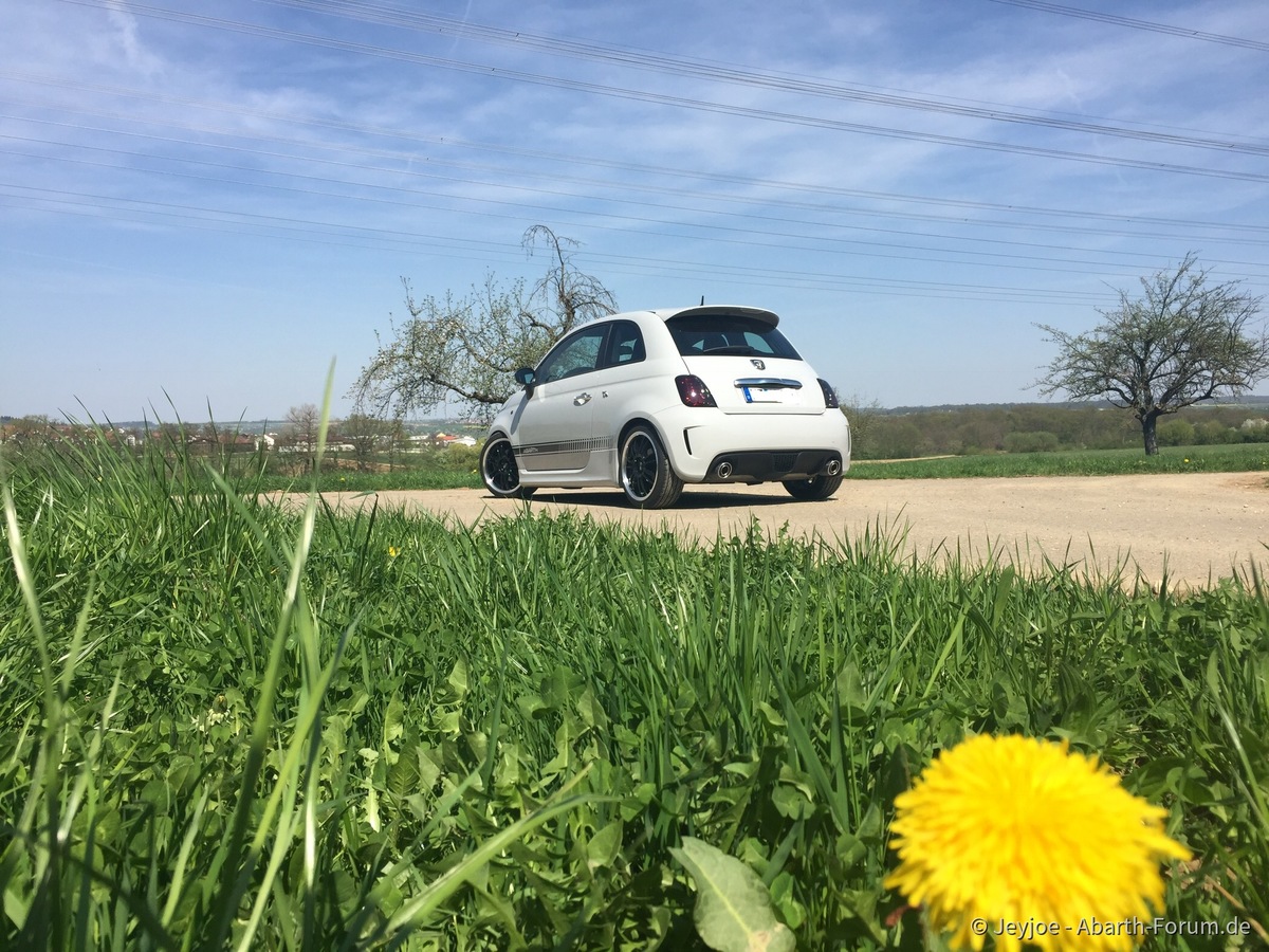 8ED19FD9-EF4B-4156-92AA-5E11CA7EBB07