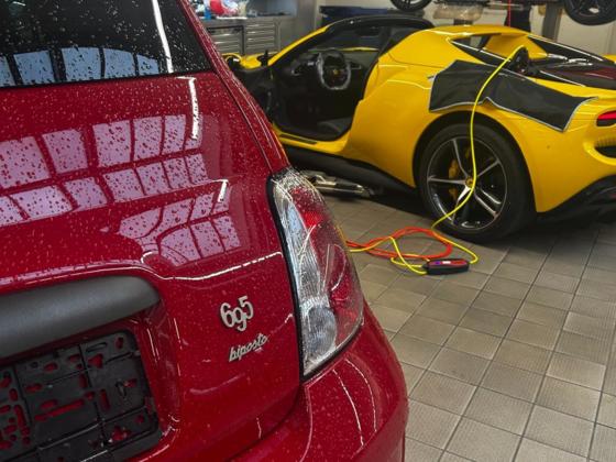 In allerbester Gesellschaft 😊