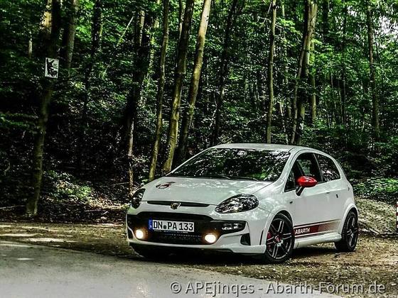 1012909_846629992035117_3651340371337202275_n