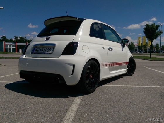 IMAG2304