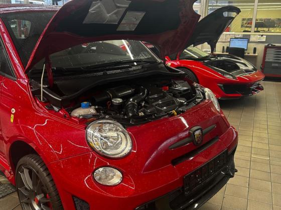 In allerbester Gesellschaft 😊