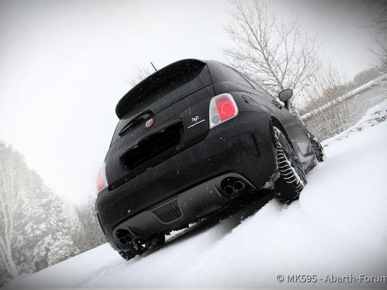 Winter wonderland