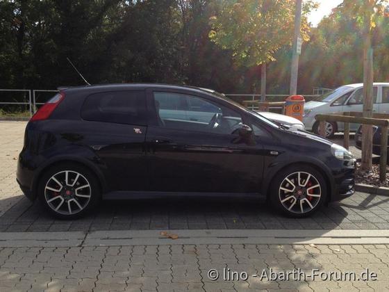 557041_3809464004045_1366426973_n[1]