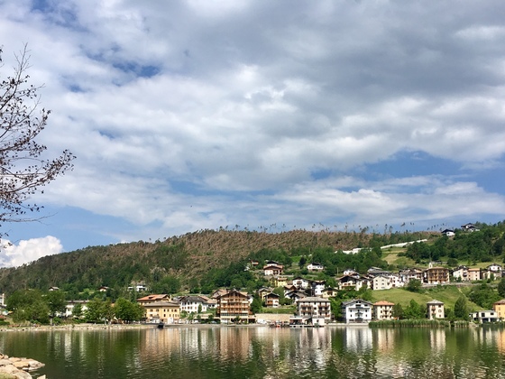 02 Trentino Windbruch