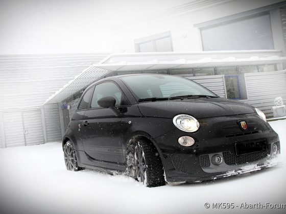 Winter wonderland
