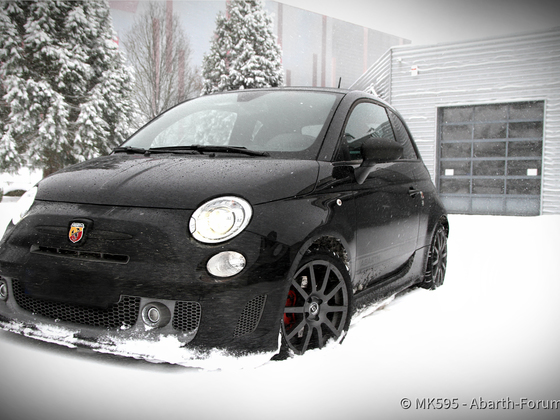 Winter wonderland
