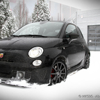 Winter wonderland