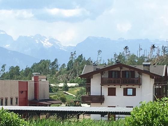 01 Trentino Windbruch