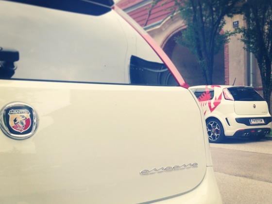 Grande Punto + Punto Evo