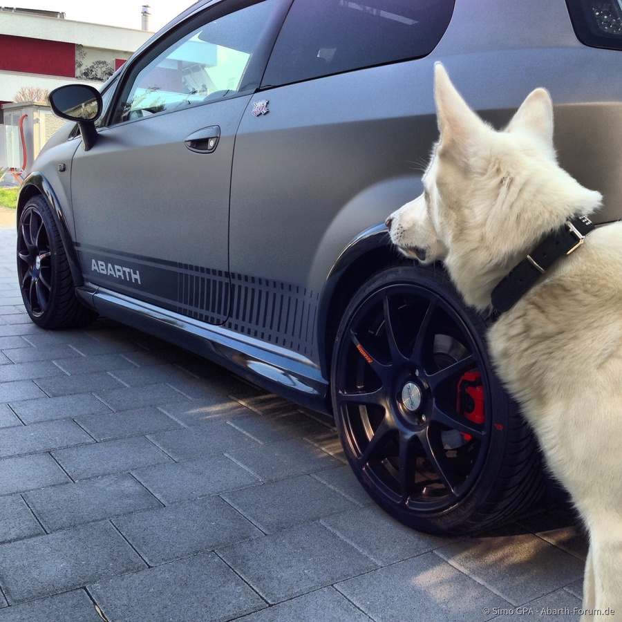 Arcasting Excalibur 8.0x18