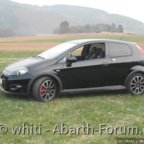 whitis abarth :)