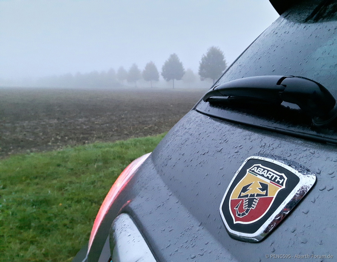 Morgens, halb 8 in Deutschland