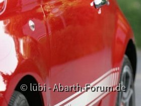 bild-319.jpg