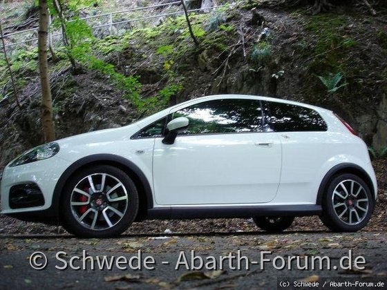 GPA_Schwede_seitlich_2