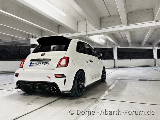 595 Esseesse