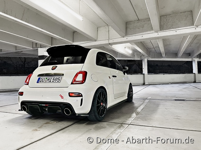 595 Esseesse