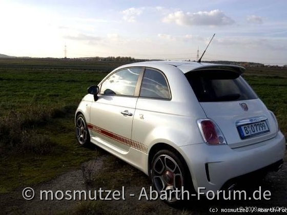 erste Bilder